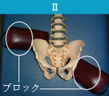 カテゴリーⅡ